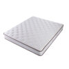 Simmons Natural Dorsopedic Eminence